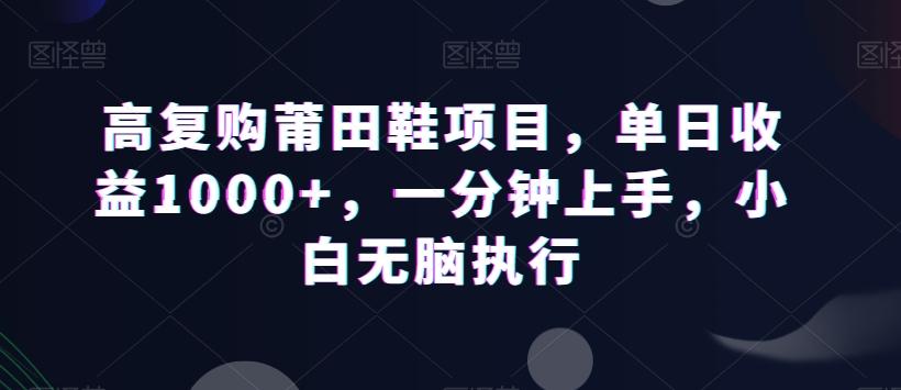 高复购莆田鞋项目，单日收益1000+，一分钟上手，小白无脑执行-梦清网创