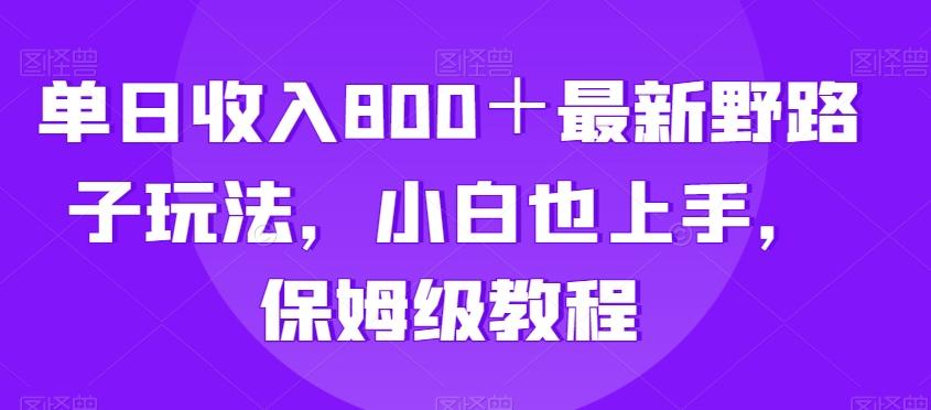 单日收入800＋最新野路子玩法，小白也上手，保姆级教程-梦清网创