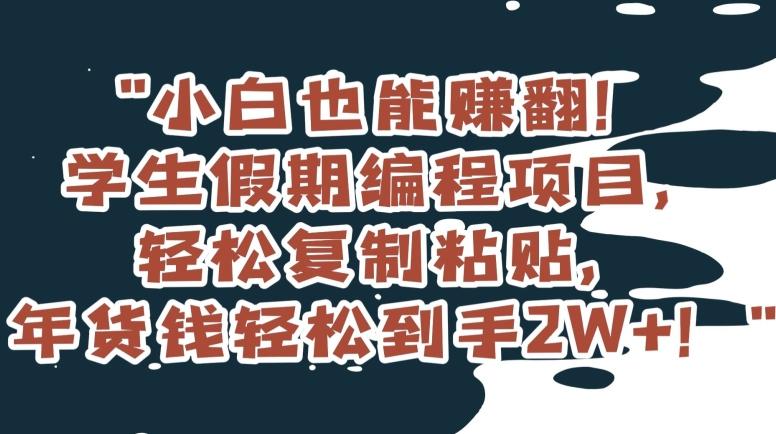小白也能赚翻！学生假期编程项目，轻松复制粘贴，年货钱轻松到手2W+【揭秘】-梦清网创