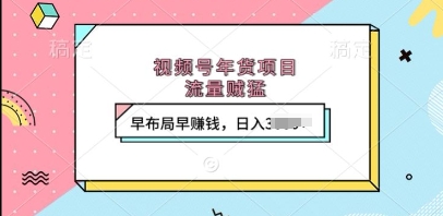 视频号年货项目，流量贼猛，早布局早挣钱，日入上k【揭秘】-梦清网创