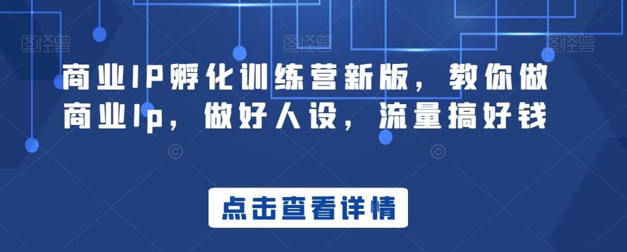 商业IP孵化训练营新版，教你做商业Ip，做好人设，流量搞好钱-梦清网创
