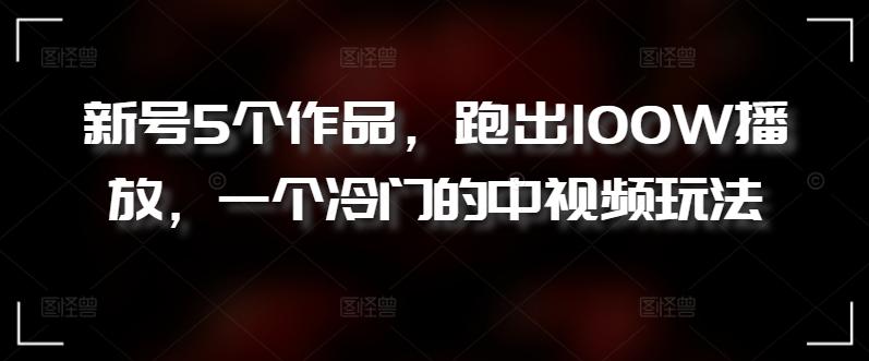 新号5个作品，跑出100W播放，一个冷门的中视频玩法【揭秘】-梦清网创