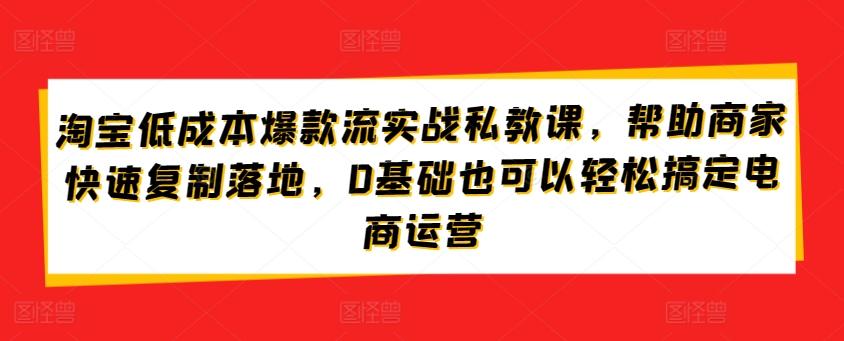 淘宝低成本爆款流实战私教课，帮助商家快速复制落地，0基础也可以轻松搞定电商运营-梦清网创