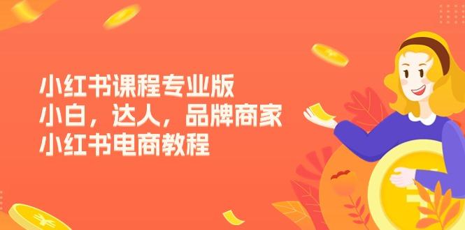 小红书课程专业版，小白，达人，品牌商家，小红书电商教程(15节-梦清网创