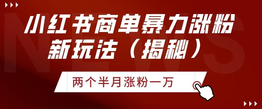 小红书商单暴力涨粉新玩法两个半月涨粉一万（揭秘）-梦清网创