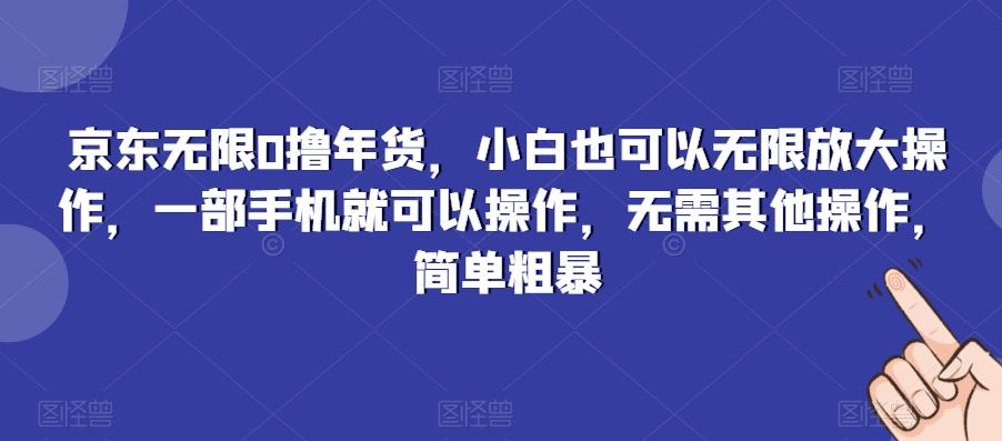 京东无限0撸年货，小白也可以无限放大操作，一部手机就可以操作，无需其他操作，简单粗暴-梦清网创