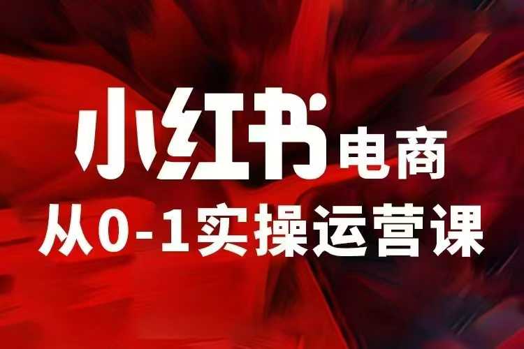 小红书电商运营，97节小红书vip内部课，带你实现小红书赚钱-梦清网创