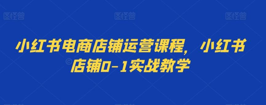 小红书电商店铺运营课程，小红书店铺0-1实战教学-梦清网创