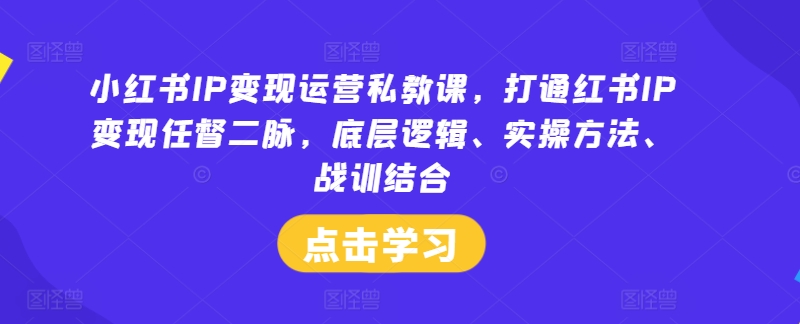 小红书IP变现运营私教课，打通红书IP变现任督二脉，底层逻辑、实操方法、战训结合-梦清网创