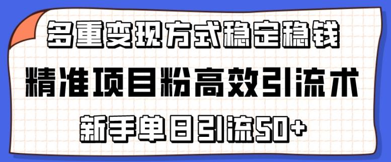 精准项目粉高效引流术，新手单日引流50+，多重变现方式稳定赚钱【揭秘】-梦清网创