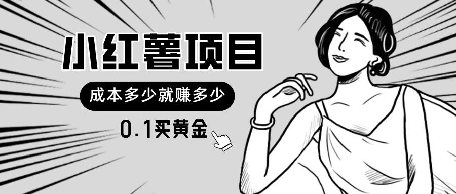 小红薯暴力项目，0.1买黄金。操作简单，日入无上限，可无限扩大。-梦清网创