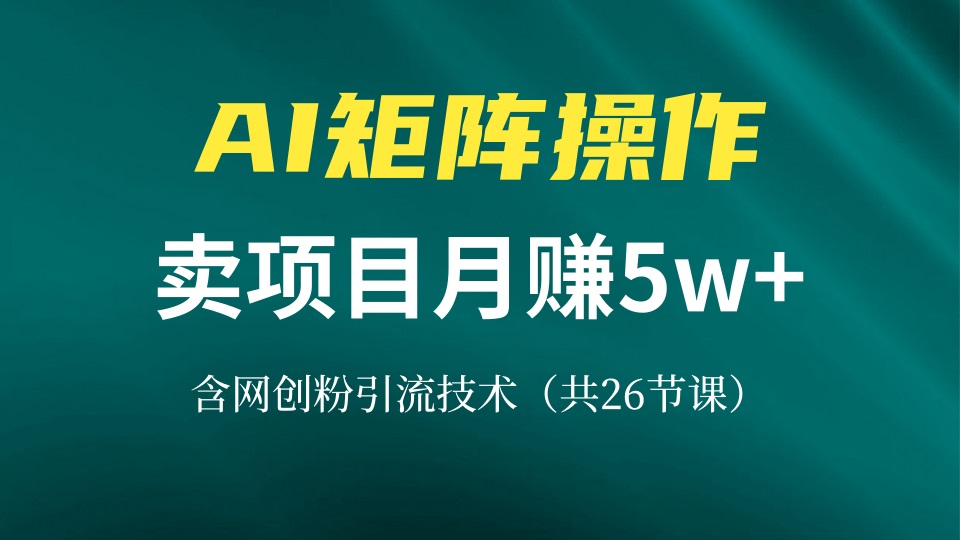 网创IP打造课，借助AI卖项目月赚5万+，含引流技术(共26节课-梦清网创