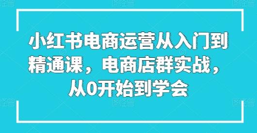 小红书电商运营从入门到精通课，电商店群实战，从0开始到学会-梦清网创