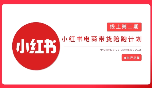 2025小红书虚拟电商实战课，从0到1打造无货源店铺，AI+爆款笔记轻松变现-梦清网创