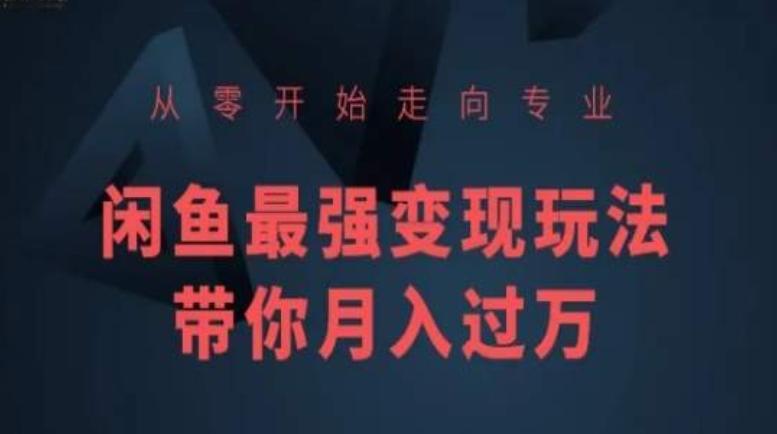 从零开始走向专业，闲鱼最强变现玩法带你月入过万-梦清网创