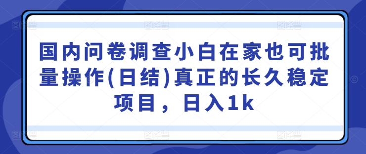 国内问卷调查小白在家也可批量操作(日结)真正的长久稳定项目，日入1k【揭秘】-梦清网创