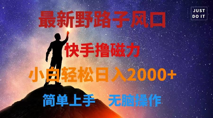 最新风口！快手撸磁力，野路子，小白无脑操作日入2000+-梦清网创