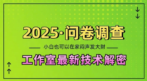 2025问卷调查最新工作室技术解密：一个人在家也可以闷声发大财，小白一天2张，可矩阵放大【揭秘】-梦清网创