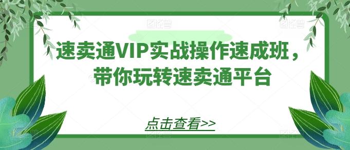 速卖通VIP实战操作速成班，带你玩转速卖通平台-梦清网创