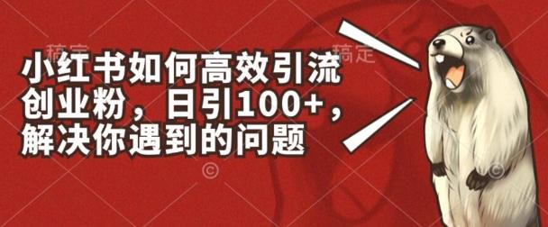 小红书如何高效引流创业粉，日引100+，解决你遇到的问题【揭秘】-梦清网创