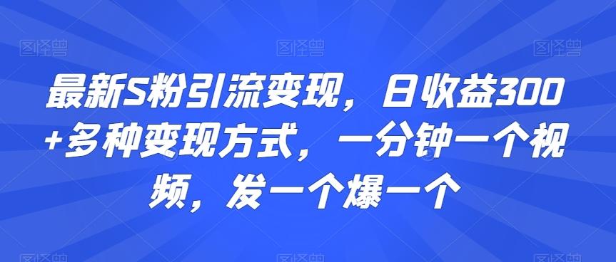 最新S粉引流变现，日收益300+多种变现方式，一分钟一个视频，发一个爆一个【揭秘】-梦清网创