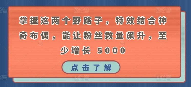 掌握这两个野路子，特效结合神奇布偶，能让粉丝数量飙升，至少增长 5000【揭秘】-梦清网创