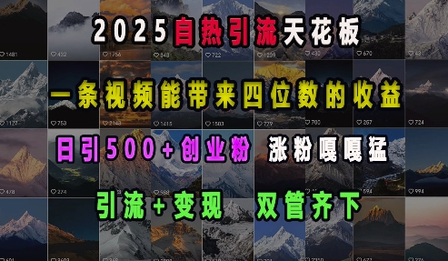 2025自热引流天花板，一条视频能带来四位数的收益，引流+变现双管齐下，日引500+创业粉，涨粉嘎嘎猛-梦清网创