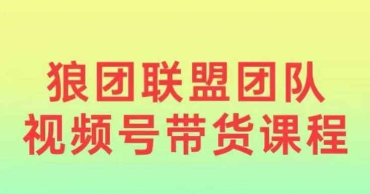 狼团联盟2024视频号带货，0基础小白快速入局视频号-梦清网创