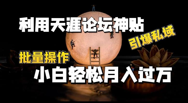 利用天涯论坛神贴，引爆私域，批量操作，小白轻松月入过w【揭秘】-梦清网创