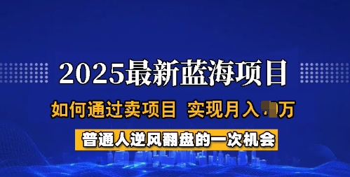 2025蓝海项目，普通人如何通过卖项目，实现月入过W，全过程【揭秘】-梦清网创