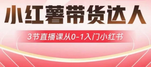 小红薯达人带货启航计划，3节直播课从0-1入门小红书-梦清网创