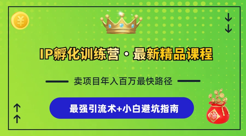 IP孵化训练营，知识付费全流程+最强引流术+小白避坑指南-梦清网创