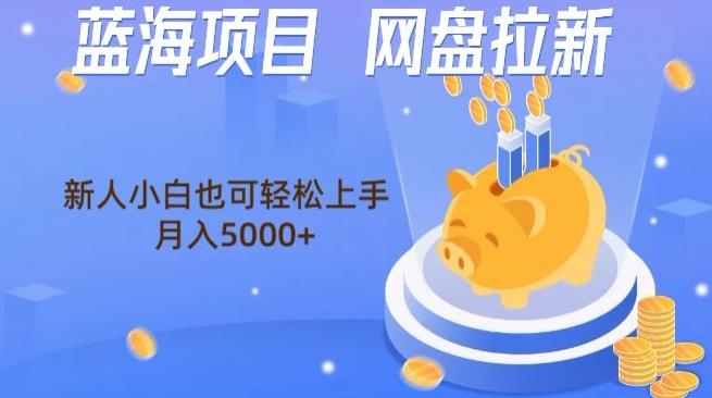 蓝海项目网盘拉新，新人小白也可操作，每月收入5000+-梦清网创