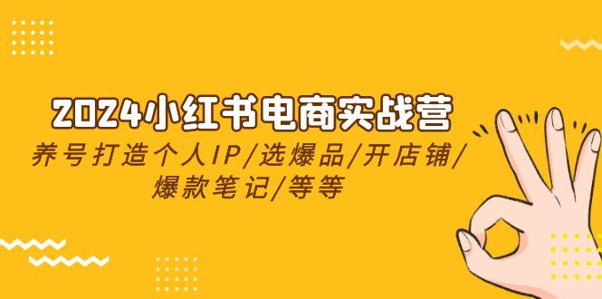 2024小红书电商实战营，养号打造IP/选爆品/开店铺/爆款笔记/等等(24节)-梦清网创