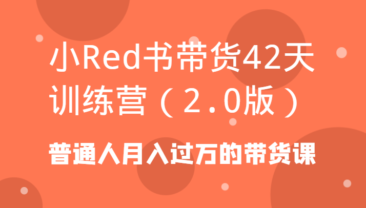 小Red书带货42天训练营(2.0版)普通人月入过万的带货课-梦清网创