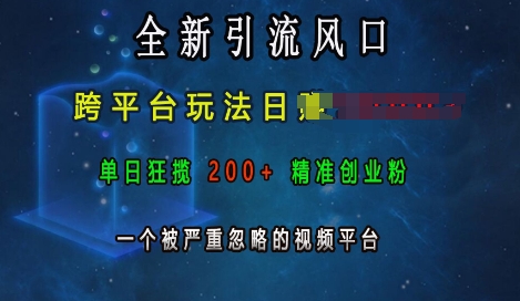 全新引流风口，跨平台玩法日入上k，单日狂揽200+精准创业粉，一个被严重忽略的视频平台-梦清网创