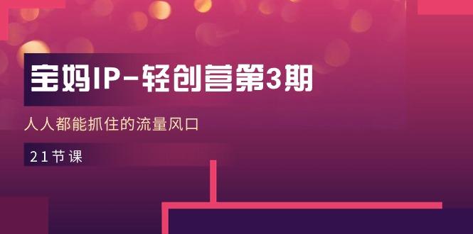 宝妈IP-轻创营第3期，人人都能抓住的流量风口(21节课-梦清网创