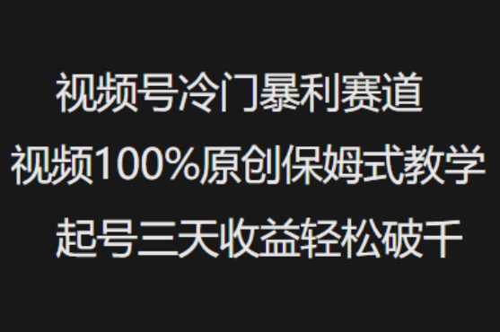 视频号冷门暴利赛道视频100%原创保姆式教学起号三天收益轻松破千-梦清网创