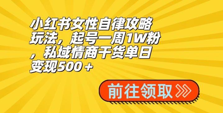 小红书女性自律攻略玩法，起号一周1W粉，私域情商干货单日变现500＋-梦清网创