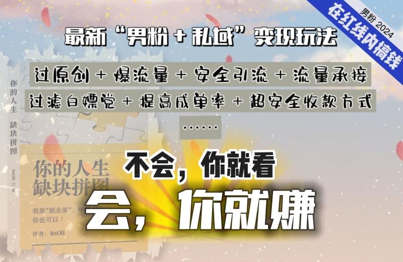 2024，“男粉+私域”还是最耐造、最赚、最轻松、最愉快的变现方式【揭秘】-梦清网创