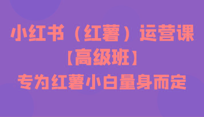 小红书(红薯)运营课【高级班】，专为红薯小白量身而定(42节课)-梦清网创