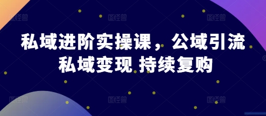 私域进阶实操课，公域引流 私域变现 持续复购-梦清网创