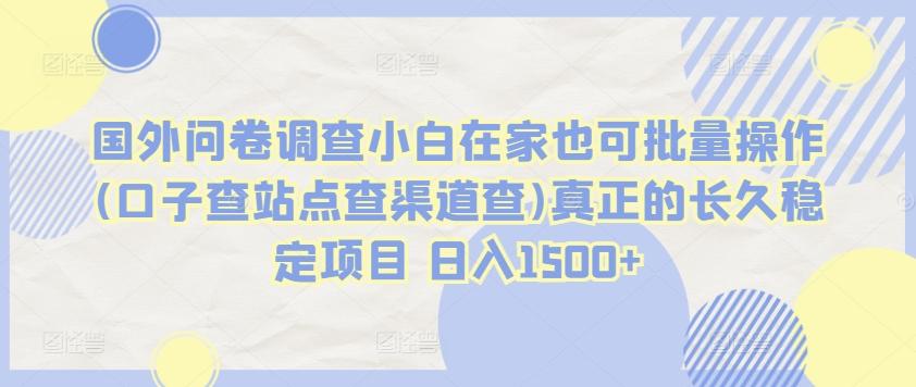国外问卷调查小白在家也可批量操作(口子查站点查渠道查)真正的长久稳定项目 日入1500+【揭秘】-梦清网创