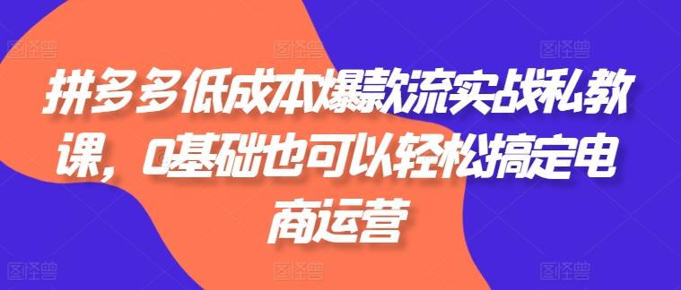 拼多多低成本爆款流实战私教课，0基础也可以轻松搞定电商运营-梦清网创