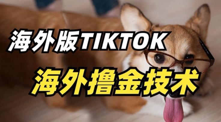 抖音海外版tiktok撸金技术，这个风口行业，赚钱真的不难【揭秘】-梦清网创