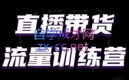 婉婉·直播带货课程系列合集(更新8月)-梦清网创