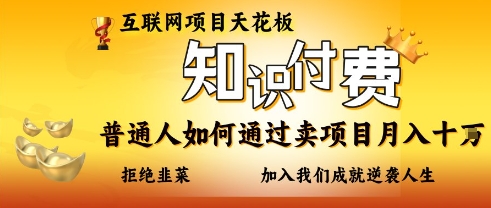 互联网项目天花板，知付付费项目，普通人如何通过卖项目月入十个，拒绝韭菜【揭秘】-梦清网创
