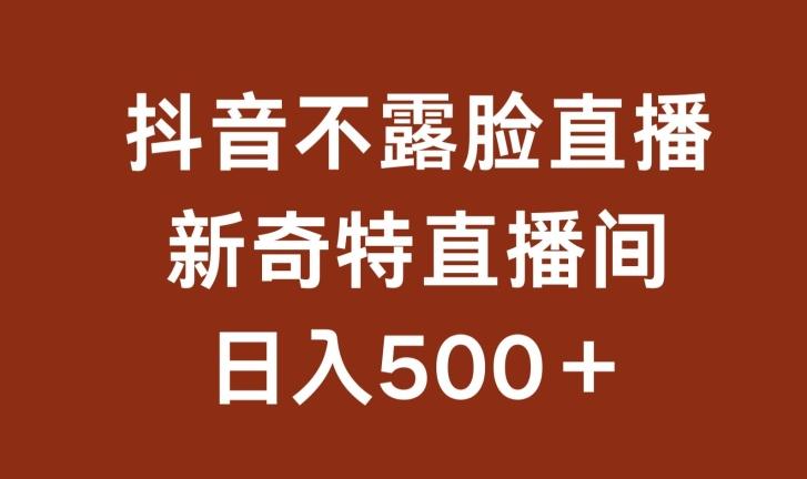 不露脸挂机直播，新奇特直播间，日入500+【揭秘】-梦清网创