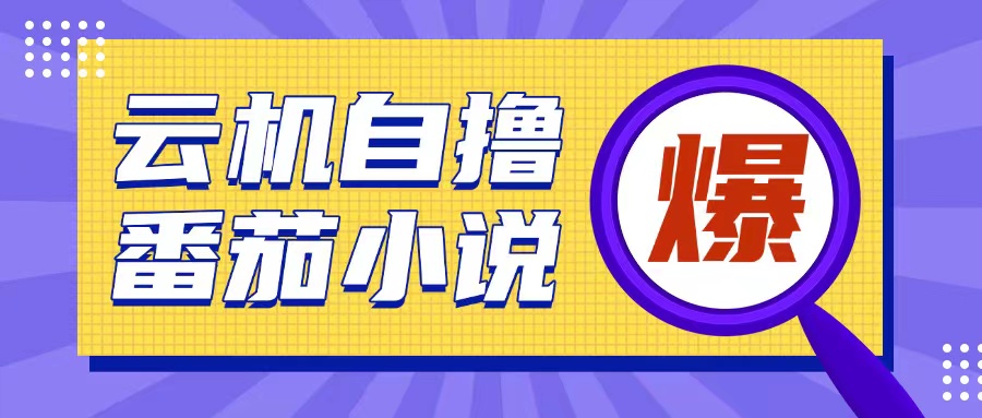 首发云手机自撸小说玩法，10块钱成本可撸200+收益操作简单【揭秘】-梦清网创