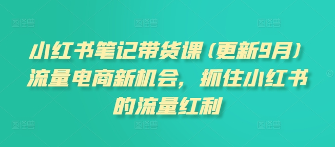 小红书笔记带货课(更新9月)流量电商新机会，抓住小红书的流量红利-梦清网创